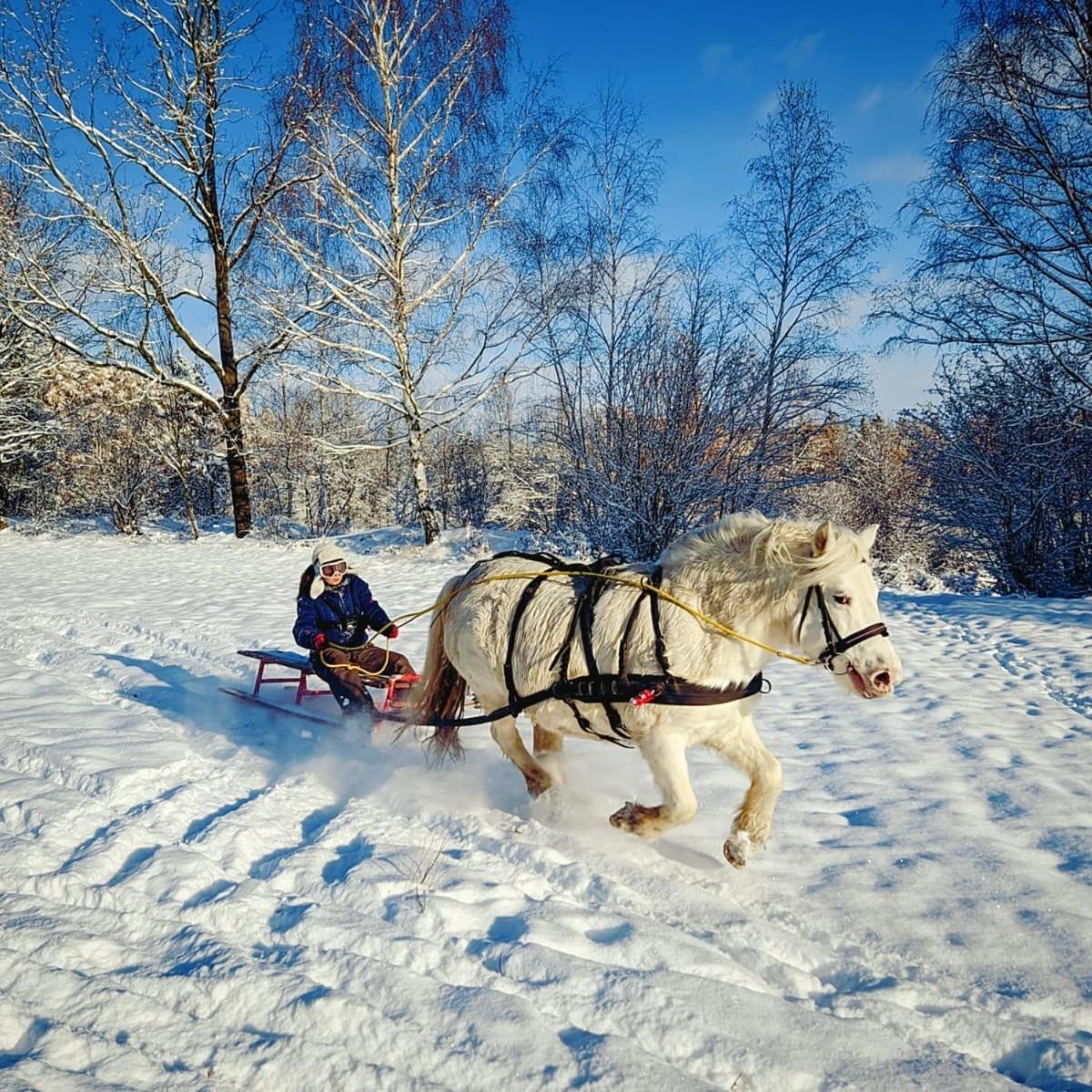 Вилла Zajacowka Поляница-Здруй Экстерьер фото